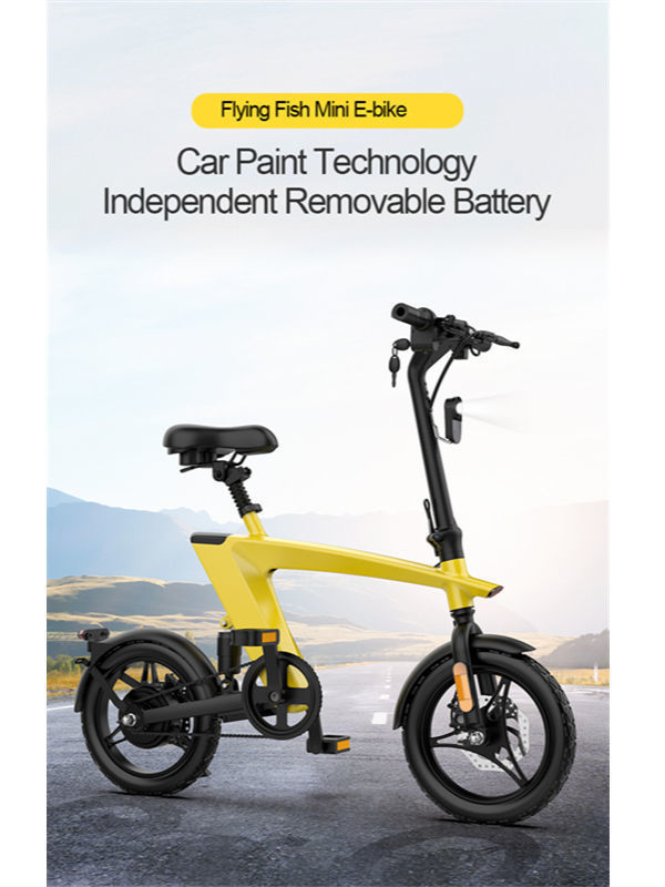 H1 Flying Fish Mini E-Bike