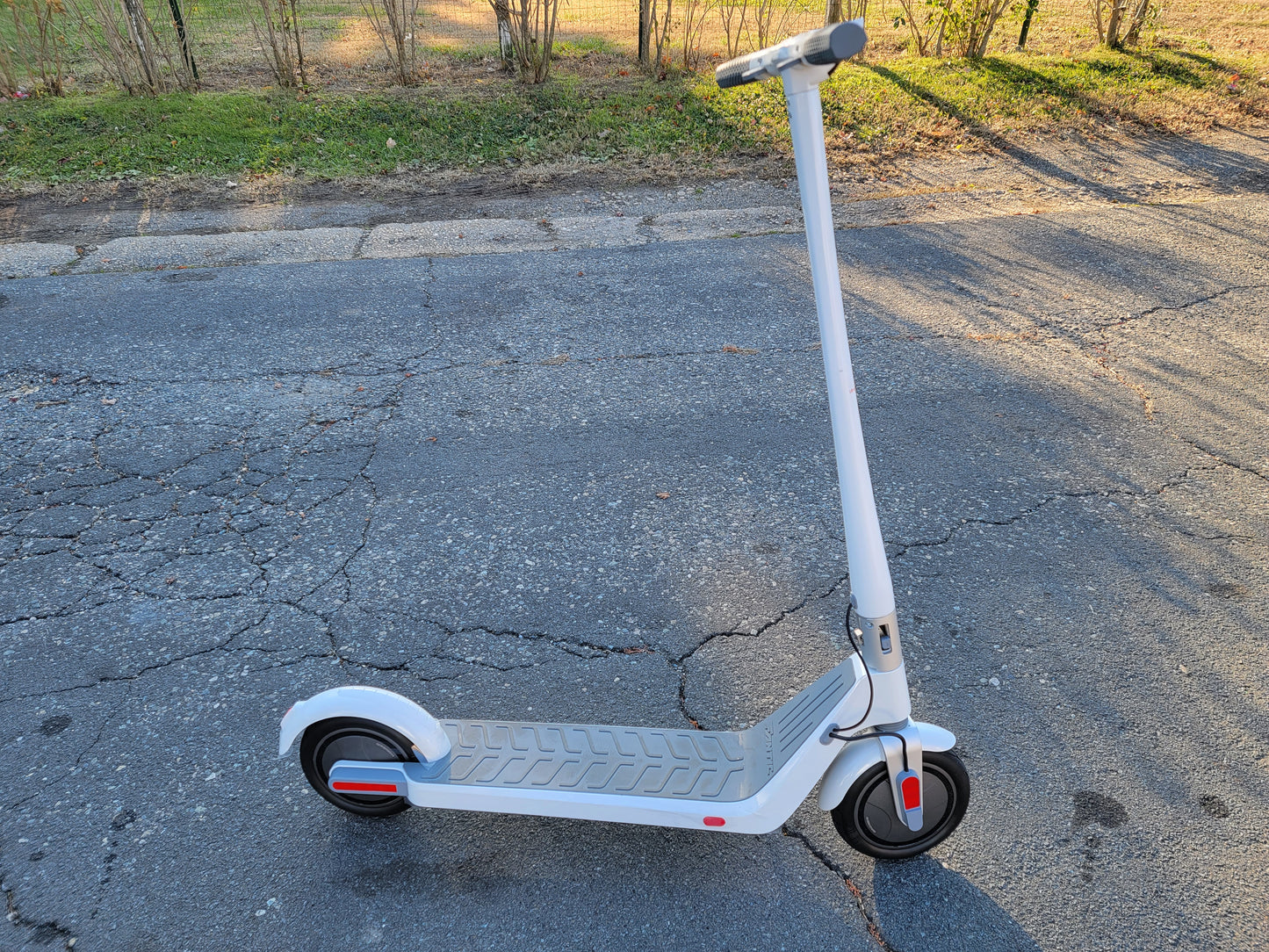 Alfa Electric Scooter