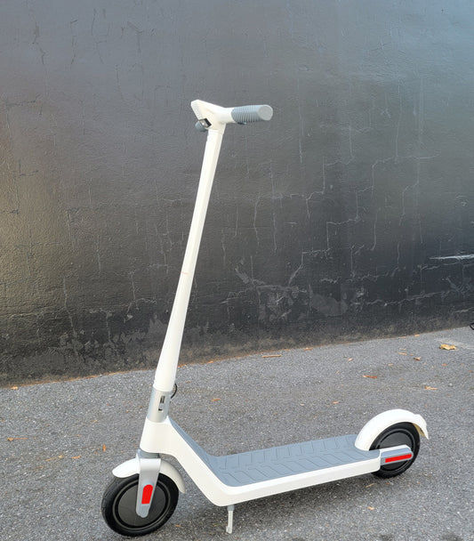 Alfa Electric Scooter